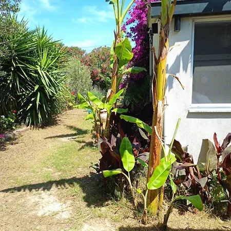Kendine Oezgue Huzur Doga Ve Deniz Keyfini Yasayin * Чешме