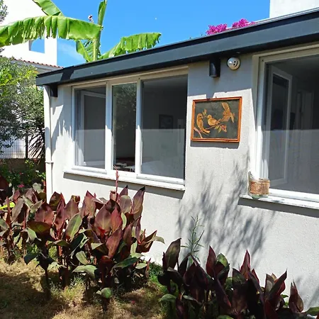 Dom wakacyjny Kendine Oezgue Huzur Doga Ve Deniz Keyfini Yasayin *