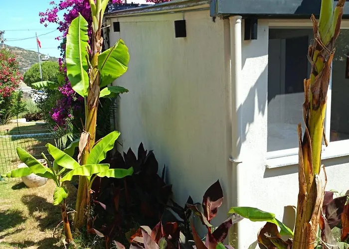 Kendine Oezgue Huzur Doga Ve Deniz Keyfini Yasayin